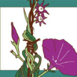 https://www.mywomensfund.org/pillars/prison-birth-project/